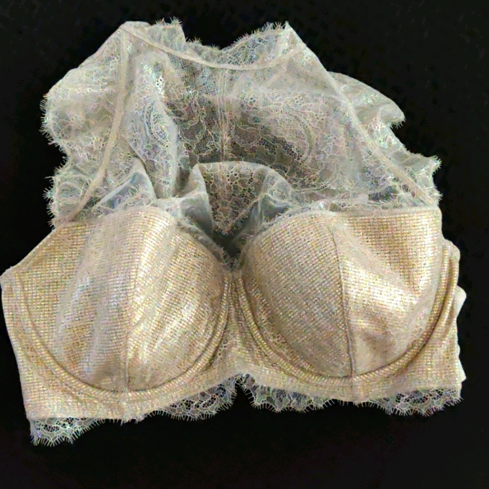 Silver and Gold Lace Bra